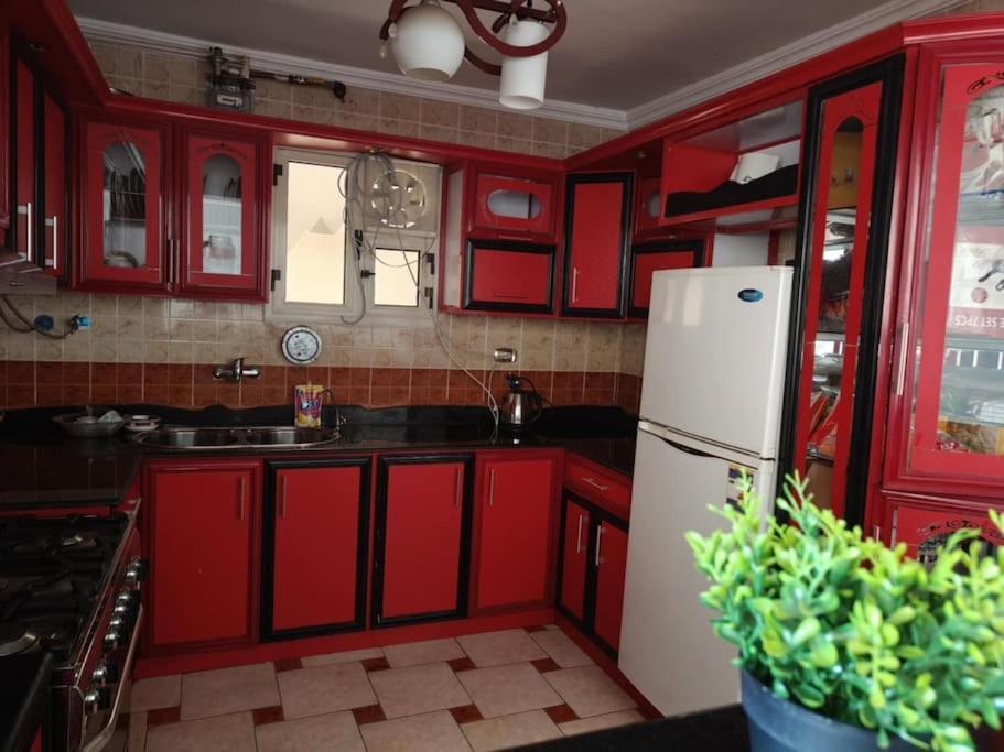 Apartment Newly Furnished In Alex