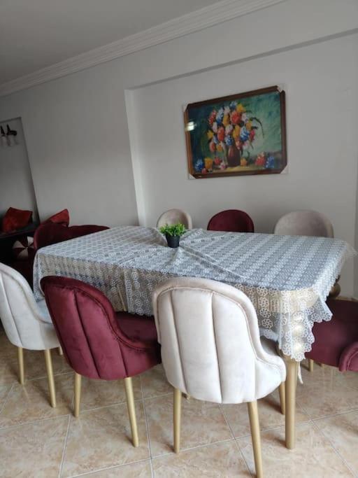 Newly Furnished In Alex