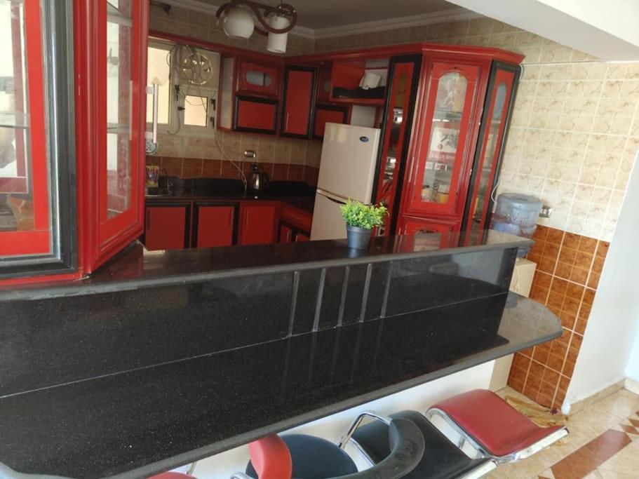 Newly Furnished In Alex Alexandria